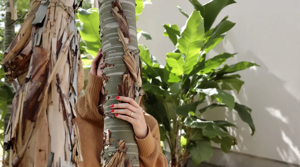 Lorraine : apporter une touche exotique à son jardin, une réalité accessible