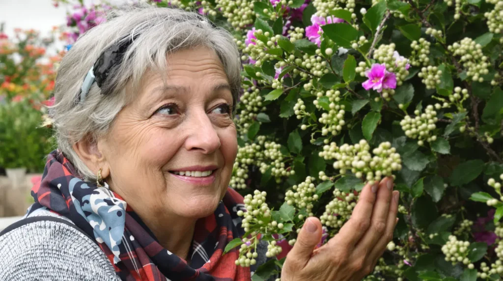 Pivoines en mai : l’astuce de taille qui garantit une floraison plus généreuse