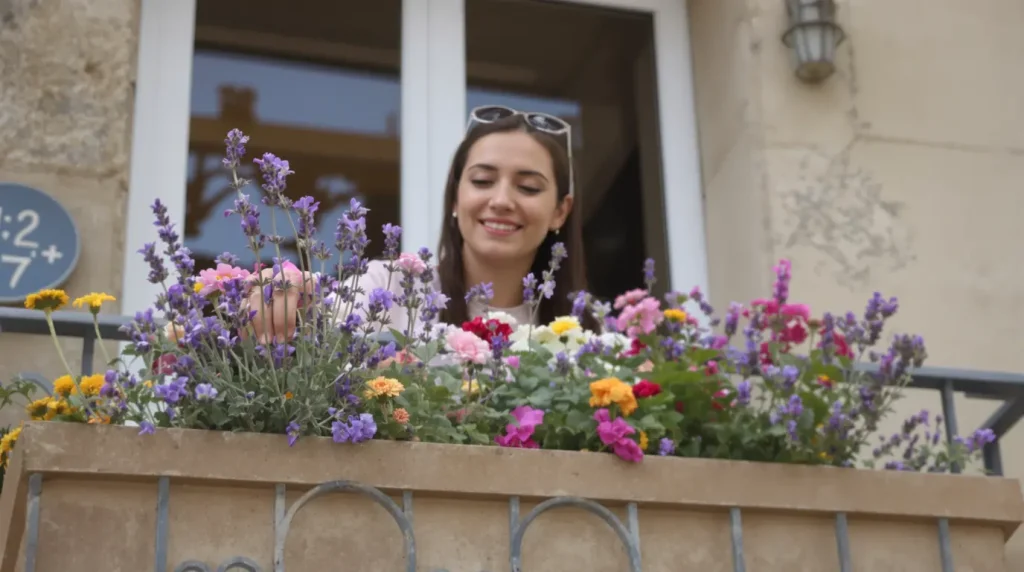 Thionville. Quelles fleurs planter chez vous pour nourrir les abeilles ?