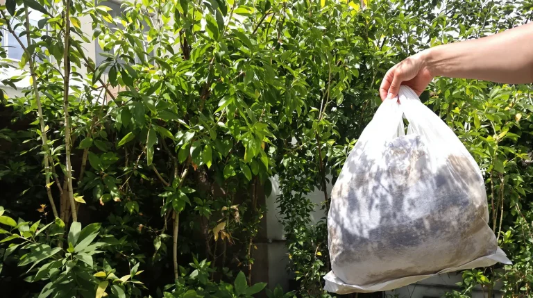 « J&rsquo;ai arrêté d&rsquo;acheter du terreau » : la méthode si simple que les jardiniers malins connaissent bien